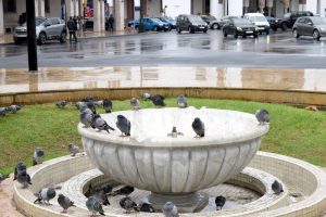 الحالة الجوية ليوم الجمعة بالمغرب